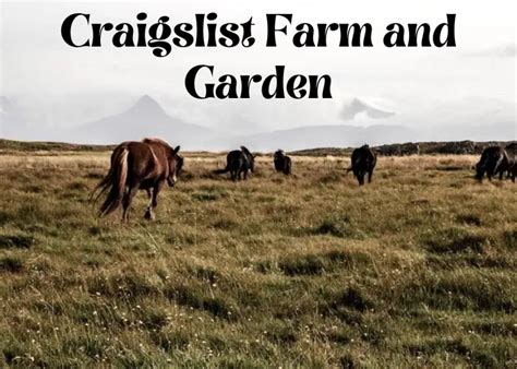 green bay craigslist farm and garden|farm garden craigslist sheboygan.